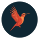 Robin capital